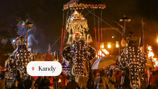 kandy sri lanka new