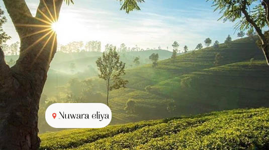 nuwara eliya sri lanka new